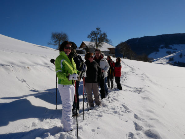 Altjahreswanderung 2016 auf den Freidhofberg