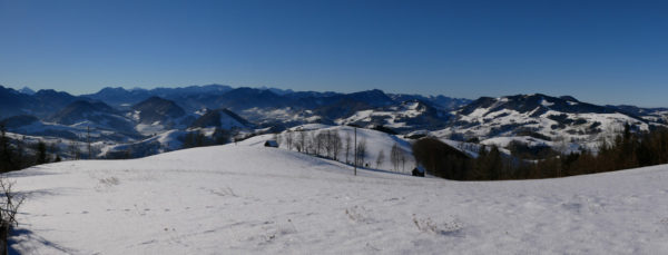 Altjahreswanderung 2016 auf den Freidhofberg