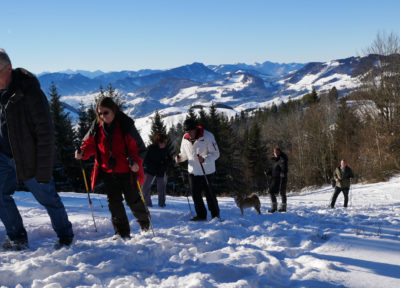 Altjahreswanderung 2016 auf den Freidhofberg