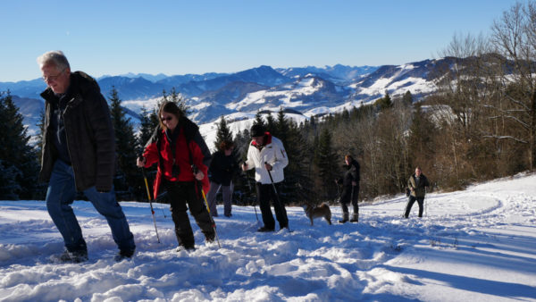 Altjahreswanderung 2016 auf den Freidhofberg