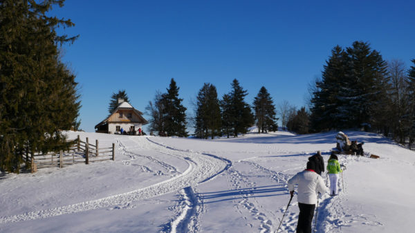 Altjahreswanderung 2016 auf den Freidhofberg