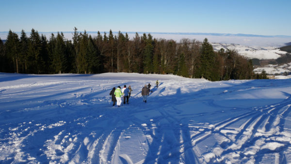 Altjahreswanderung 2016 auf den Freidhofberg