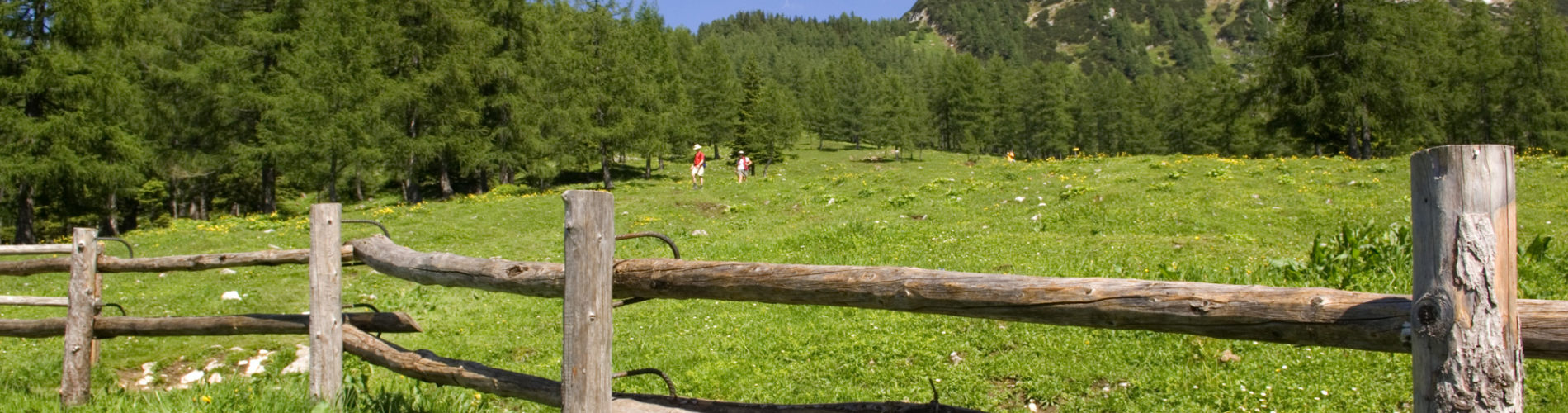 Wandern im Nationalpark Kalkalpen