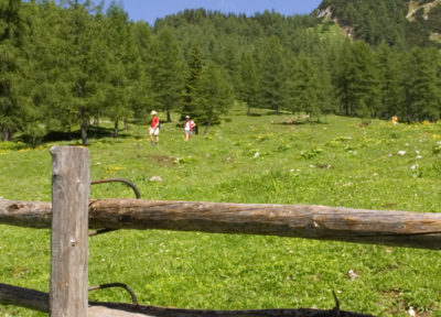 Wandern im Nationalpark Kalkalpen