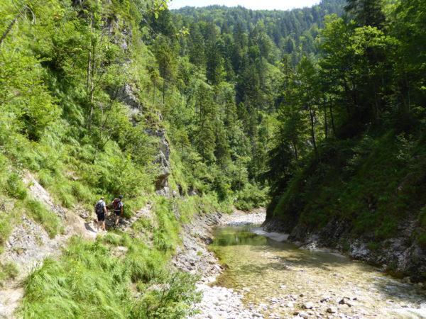 Triftsteig im Hintergebirge