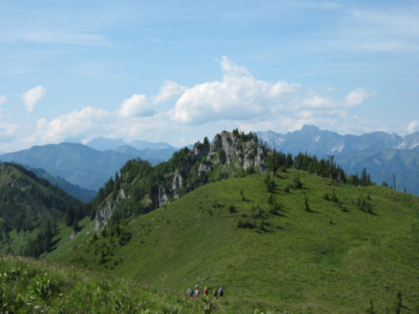 Blick vom Wieser Richtung Langlackenmauer