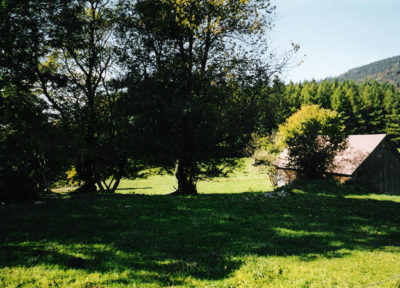 Nationalpark Kalkalpen